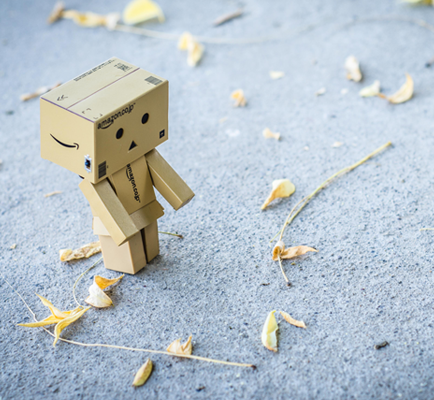 爱上海：Enjoy the comfortable oasis, Shanghai's Backyard teaches you how to easily navigate through nature!