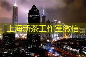 爱上海：在这个繁忙而喧嚣的城市中