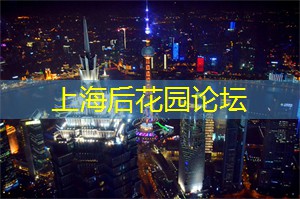 遇见电影之都:八个上海电影节目单,等你一同观赏 遇见电影之都:八个上海电影节目单,等你一同观赏