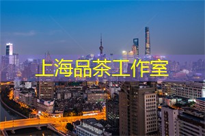 上海这个城市怎么样 上海这个城市怎么样