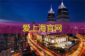 上海龙凤419：上海夜光摄影：捕捉城市中的神秘与浪漫